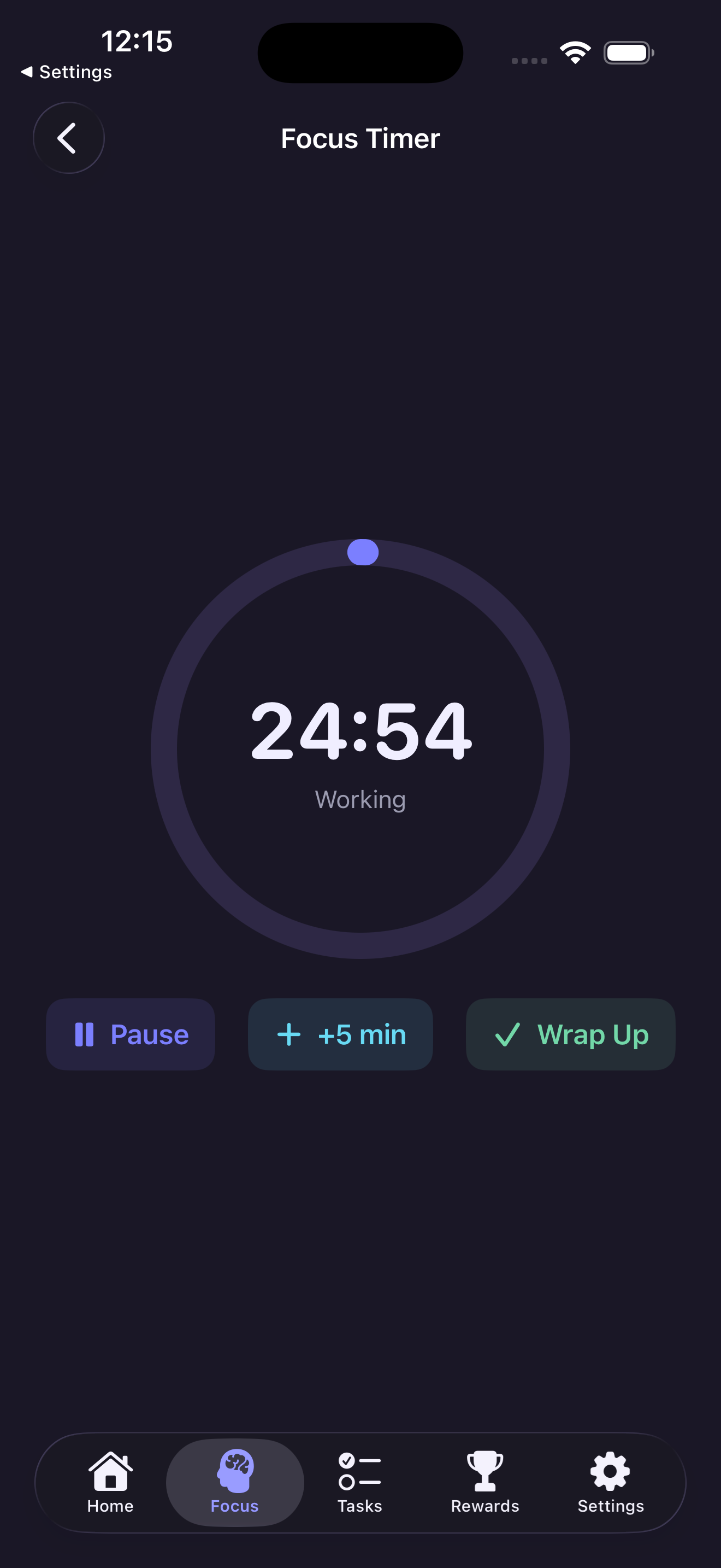 Фокус-таймер во время 25-минутной сессии